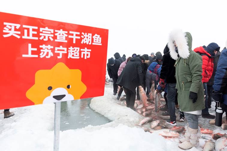 苏宁超市年货节上线查干湖胖头鱼，二维码溯源防伪