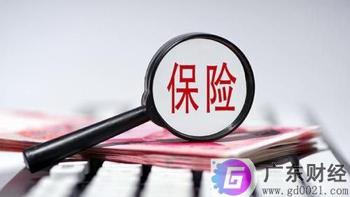 如何购买分红医疗保险？分红医疗保险详解