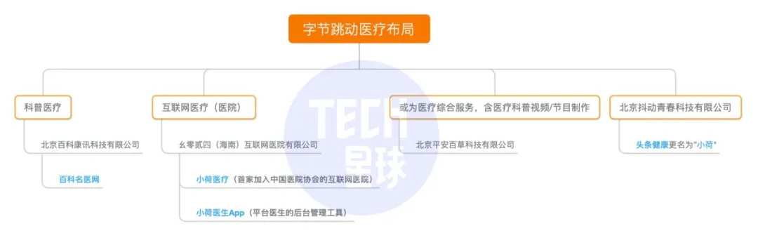 字节医疗新版图「小荷」亮相，百度系原高管操盘