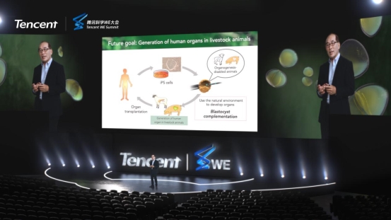 疫情下人类实现多项突破 腾讯科学WE大会揭秘粒子物理、器官复刻和脑机接口等最新发现