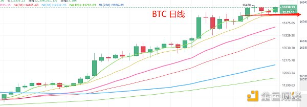 11.16晚间行情：牛未走 选择强势品种操作