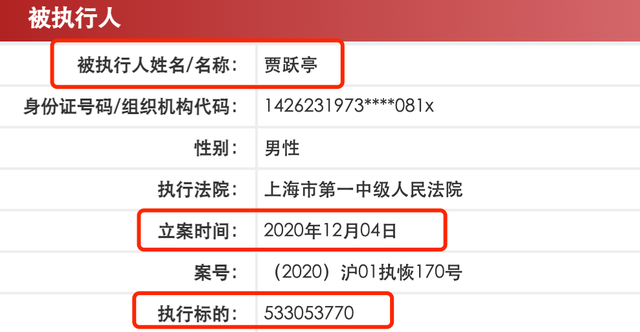 贾跃亭再成被执行人 执行标的约5.33亿元