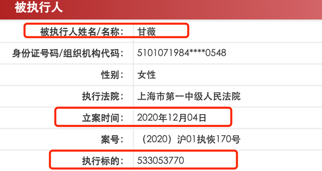 贾跃亭再成被执行人 执行标的约5.33亿元