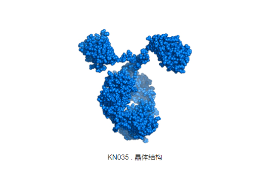 恩沃利单抗注射液(KN035)新药上市申请获国家药监局正式受理