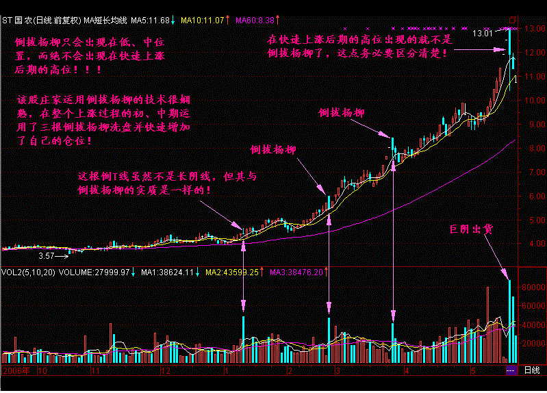 长阴倒拔杨柳形态.gif