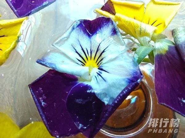 荣耀50pro和小米11拍照对比:哪款手机拍照更好?