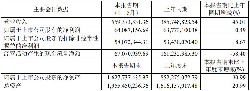 数据来源：嵘泰集团2021年中期报告