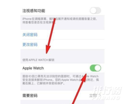 iphone13支持戴口罩解锁吗_口罩面部解锁设置