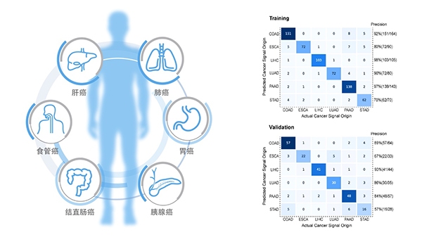 和瑞基因发布多癌种早筛最新研究成果 涵盖6大中国高危癌种