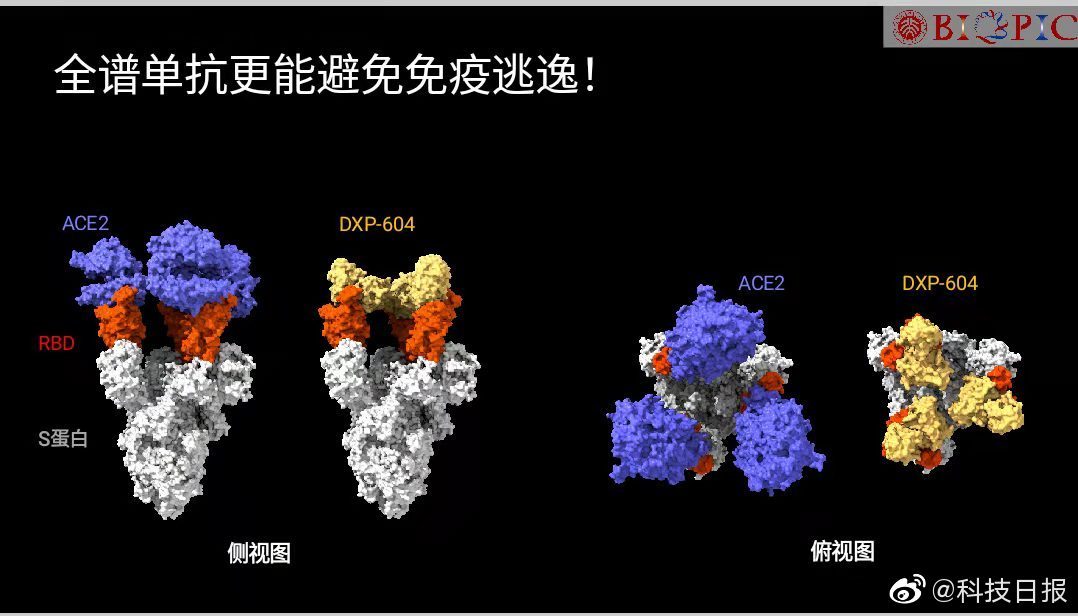 中国自主研发新冠特效药能防变异株 部分病人康复