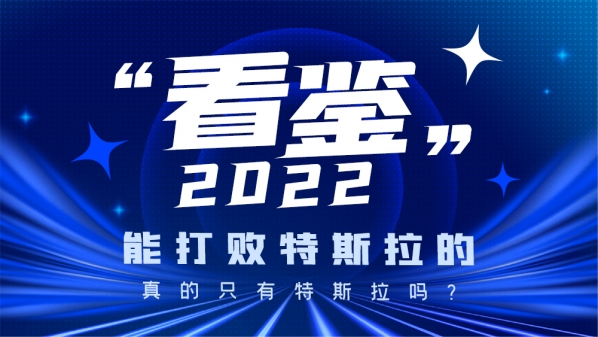 “看鉴”2022：能打败特斯拉的真的只有特斯拉吗？