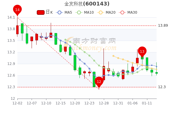 1月13日金发科技大单净流入510.91万，收盘报12.65元