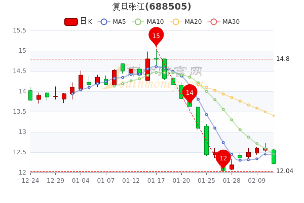 2月11日复旦张江换手率达0.72%，复旦张江个股价格行情查询