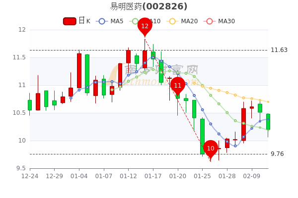 2月11日易明医药市值19.5亿，大单净流出377.57万