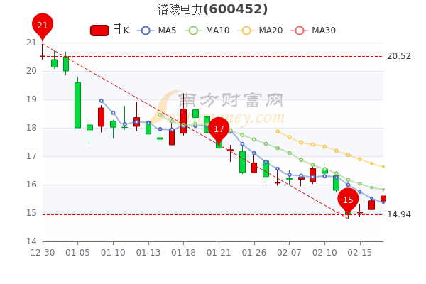 2月17日涪陵电力报15.6元，大单净流入1342.82万