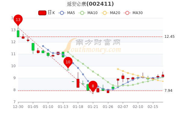 2月17日延安必康超大单净流出405.35万，股价多少钱一股？