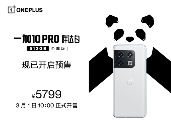 一加 10 Pro 胖达白 至尊版