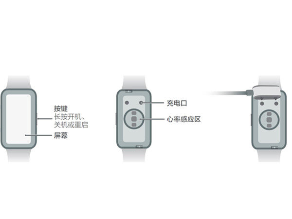 华为手环7说明书-华为手环7使用指南