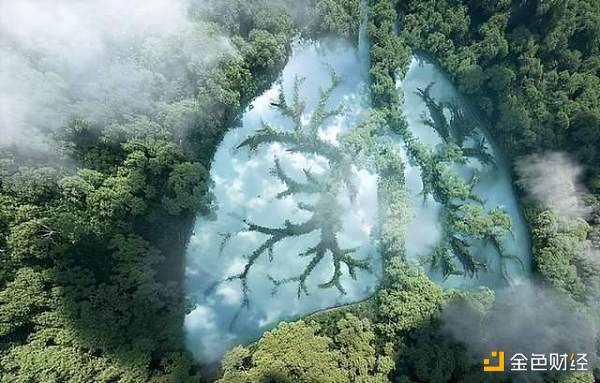 
      为拯救亚马逊雨林  环保NFT不到一个小时竟被抢购一空