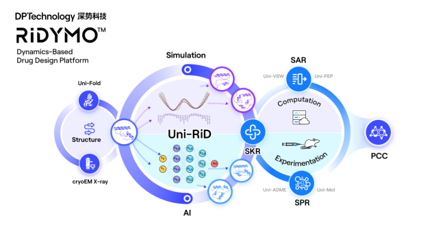 AI+动力学！深势科技首次公布RiDymo平台发现新位点并完成活性验证