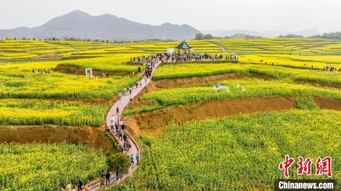 3月12日，航拍江西瑞昌市武蛟乡万亩油菜花竞相绽放，不少游客慕名前来踏春赏花，享受美好春光。　魏东升 摄